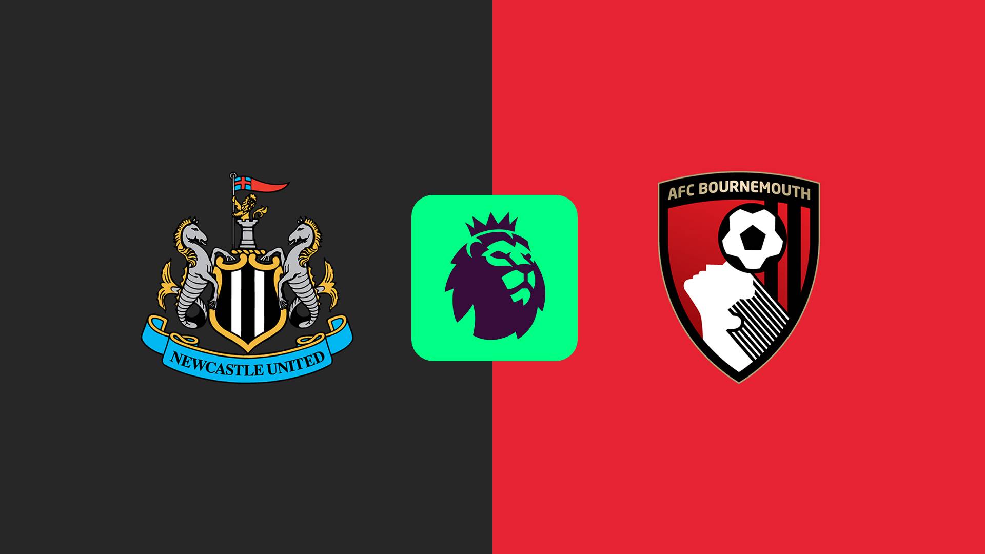 Newcastle United vs AFC Bournemouth